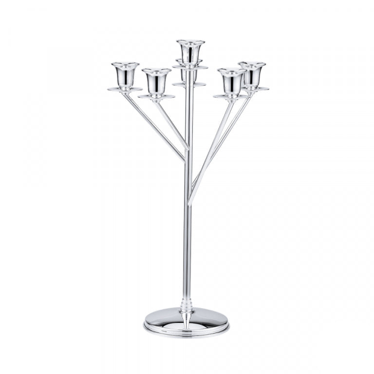 Elegant Silver Candelabra